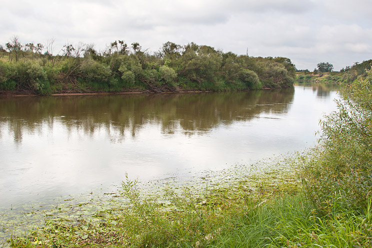 Река Днепр в районе Соловьёво